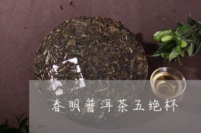 春明普洱茶五绝杯/2023033097169