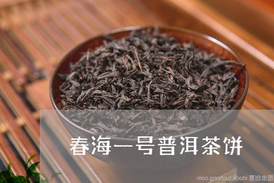 春海一号普洱茶饼/2023033083936