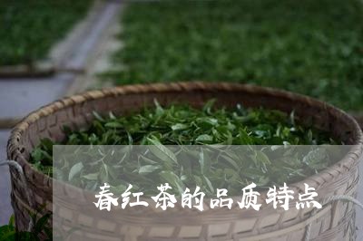 春红茶的品质特点/2023032510491