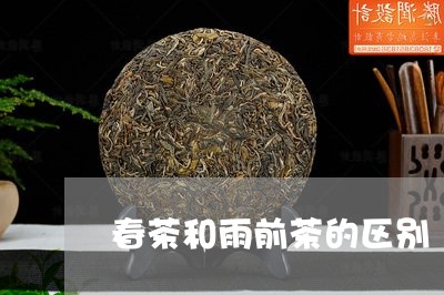 春茶和雨前茶的区别/2023041601615