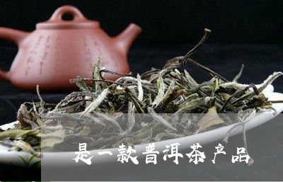 是一款普洱茶产品/2023033095140