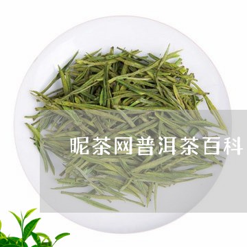 昵茶网普洱茶百科/2023033100492