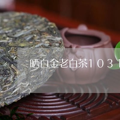 晒白金老白茶1031价格/2023033124915