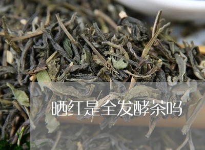 晒红是全发酵茶吗/2023032668261