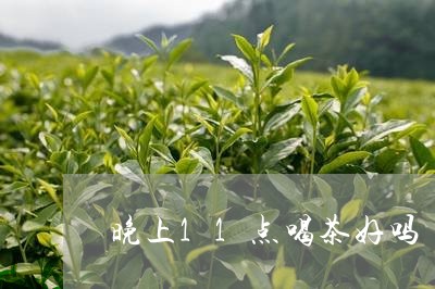 晚上11点喝茶好吗/2023041629604