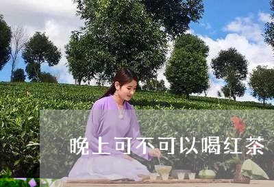 晚上可不可以喝红茶/2023031963047