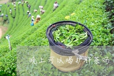 晚上可以喝护肝茶吗/2023041452825