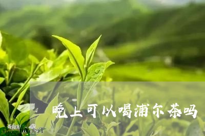 晚上可以喝浦尔茶吗/2023041416259