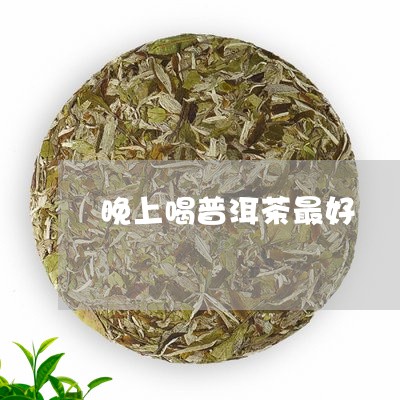 晚上喝普洱茶最好/2023040936950