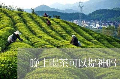 晚上喝茶可以提神吗/2023041695827