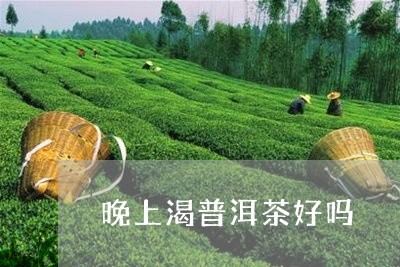 晚上渴普洱茶好吗/2023031685240