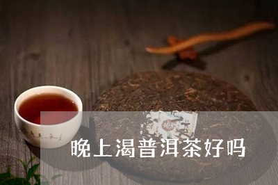 晚上渴普洱茶好吗/2023041156159