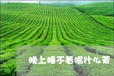 晚上睡不着喝什么茶/2023041524059