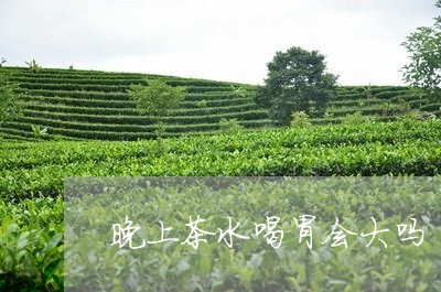 晚上茶水喝胃会大吗/2023041437271