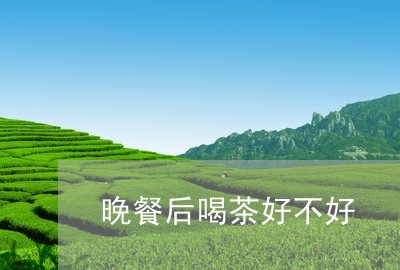 晚餐后喝茶好不好/2023032481712