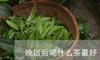 晚饭后喝什么茶最好/2023041648304