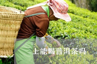 晩上能喝普洱茶吗/2023041353715