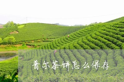 普尔茶饼怎么保存/2023032566370