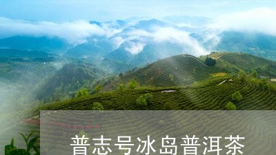 普志号冰岛普洱茶/2023041372526