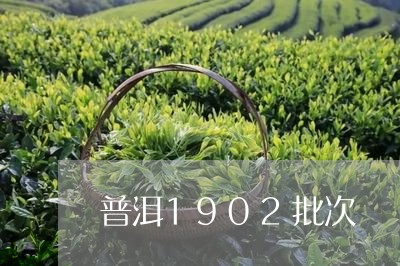 普洱1902批次/2023032939683