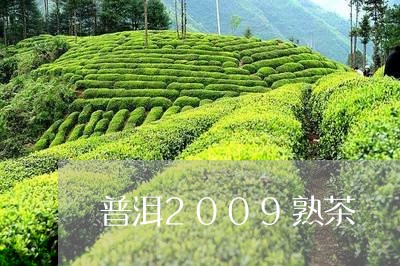 普洱2009熟茶/2023032994839