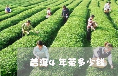 普洱4年茶多少钱/2023032921616