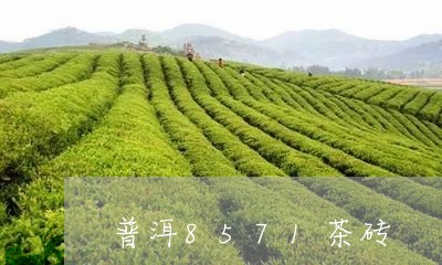 普洱8571茶砖/2023032923837