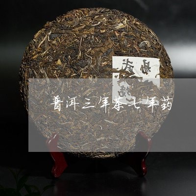 普洱三年茶七年药/2023032977060