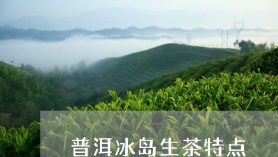 普洱冰岛生茶特点/2023033070581