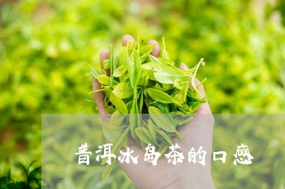 普洱冰岛茶的口感/2023033076373