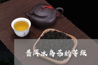 普洱冰岛茶的等级/2023033054938