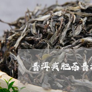 普洱减肥茶普洱茶/2023031701594