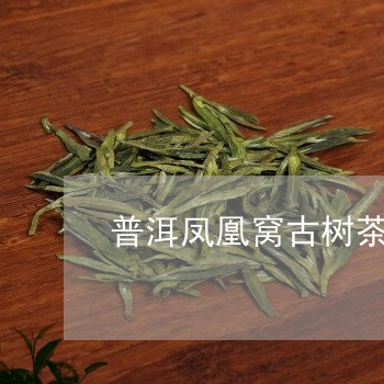 普洱凤凰窝古树茶/2023032916493