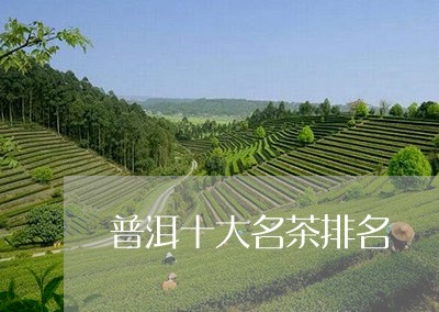 普洱十大名茶排名/2023041363808