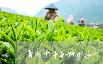 普洱十年茶饼价格/2023041319695