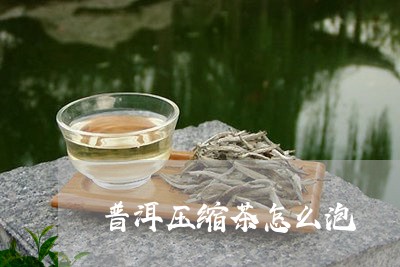 普洱压缩茶怎么泡/2023032976168