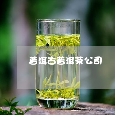 普洱古普洱茶公司/2023041274060