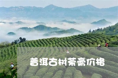 普洱古树茶膏价格/2023041313051