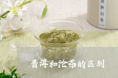 普洱和沱茶的区别/2023031873836