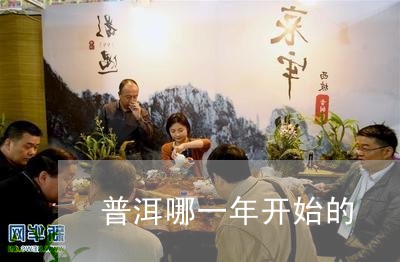 普洱哪一年开始的/2023032946161