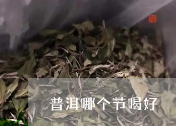 普洱哪个节喝好/2023032984048