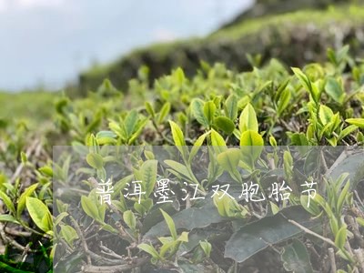 普洱墨江双胞胎节/2023032989515