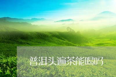 普洱头遍茶能喝吗/2023032983920