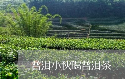 普洱小伙喝普洱茶/2023031731724