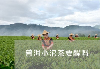 普洱小沱茶要醒吗/2023032950613