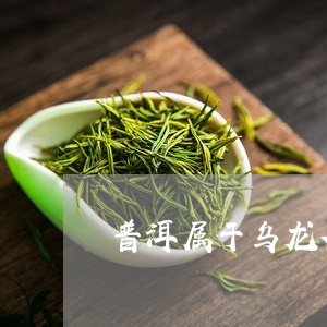 普洱属于乌龙茶吗/2023032986128