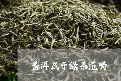 普洱属于绿茶范畴/2023032929626