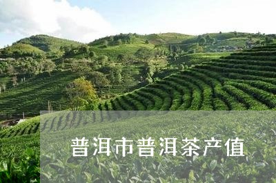 普洱市普洱茶产值/2023041200503