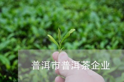 普洱市普洱茶企业/2023041251603