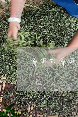 普洱市普洱茶摆件/2023031704036